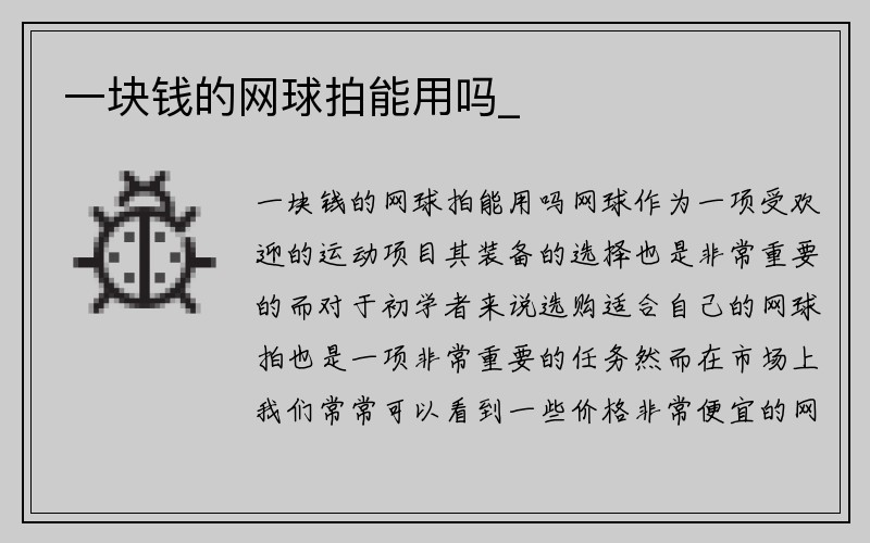 一块钱的网球拍能用吗_