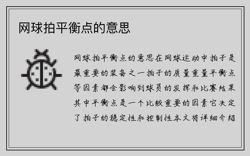 网球拍平衡点的意思