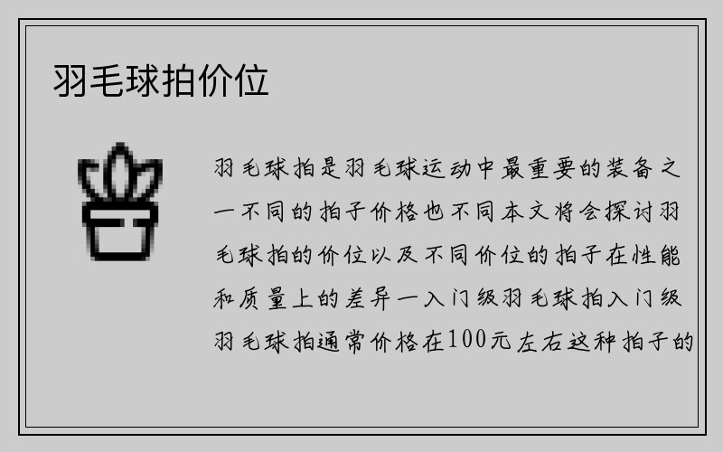 羽毛球拍价位