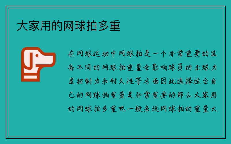 大家用的网球拍多重